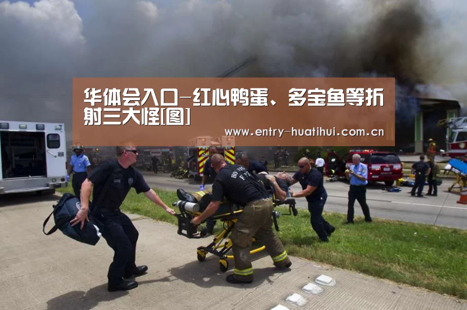 华体会入口-红心鸭蛋、多宝鱼等折射三大怪[图]