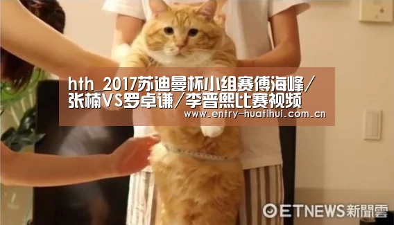 hth_2017苏迪曼杯小组赛傅海峰/张楠VS罗卓谦/李晋熙比赛视频(图2) 华体会
