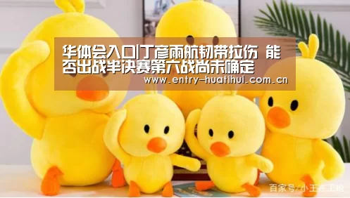 华体会入口|丁彦雨航韧带拉伤 能否出战半决赛第六战尚未确定(图2) 华体会体育