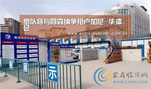 狼队将与阿森纳争抢卢加尼-华体会(图1) 华体会入口